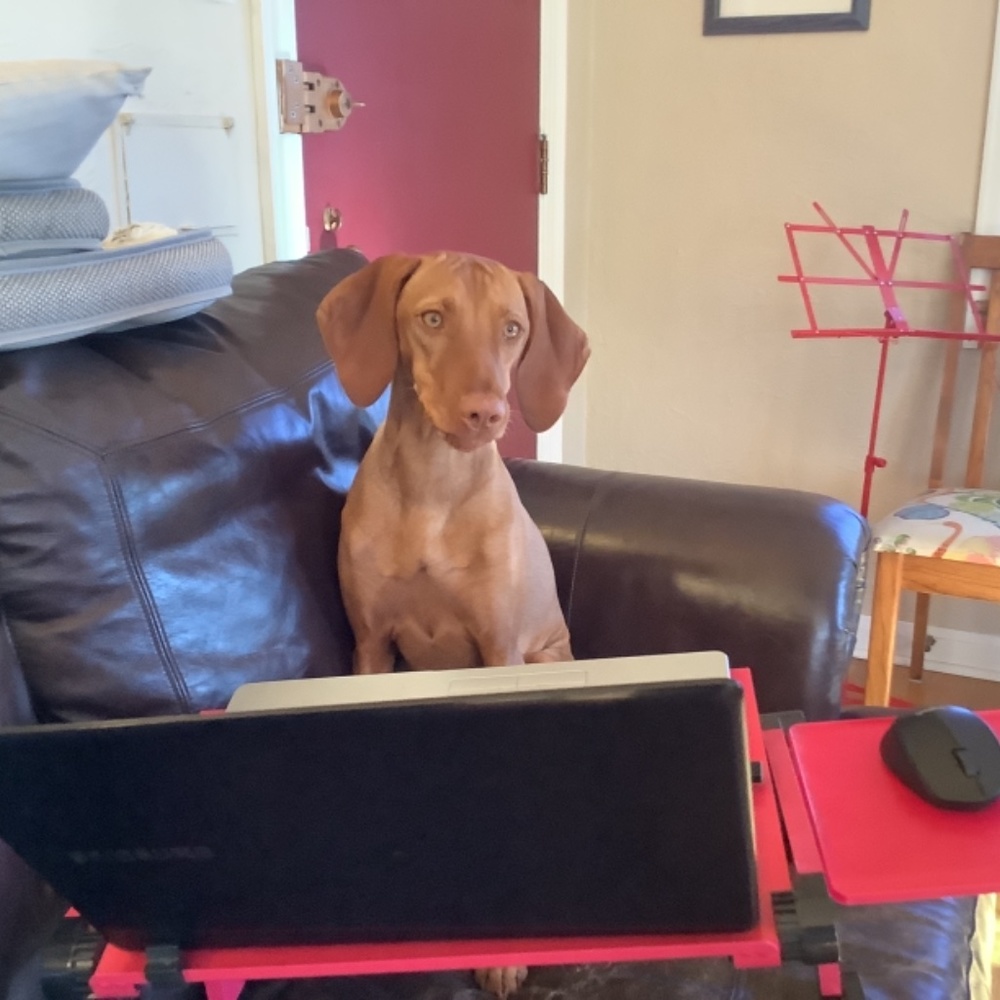 Computer stand - Picture 4 of 6